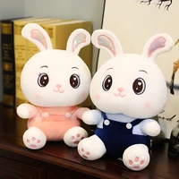 30 to 55 cm cute rabbit healing birthday gifts for girls bedroom decorations sleeping with healing plush toys %d0%bf%d0%bb%d1%8e%d1%88%d0%b5%d0%b2%d1%8b%d0%b5 %d0%b8%d0%b3%d1%80%d1%83%d1%88%d0%ba%d0%b8