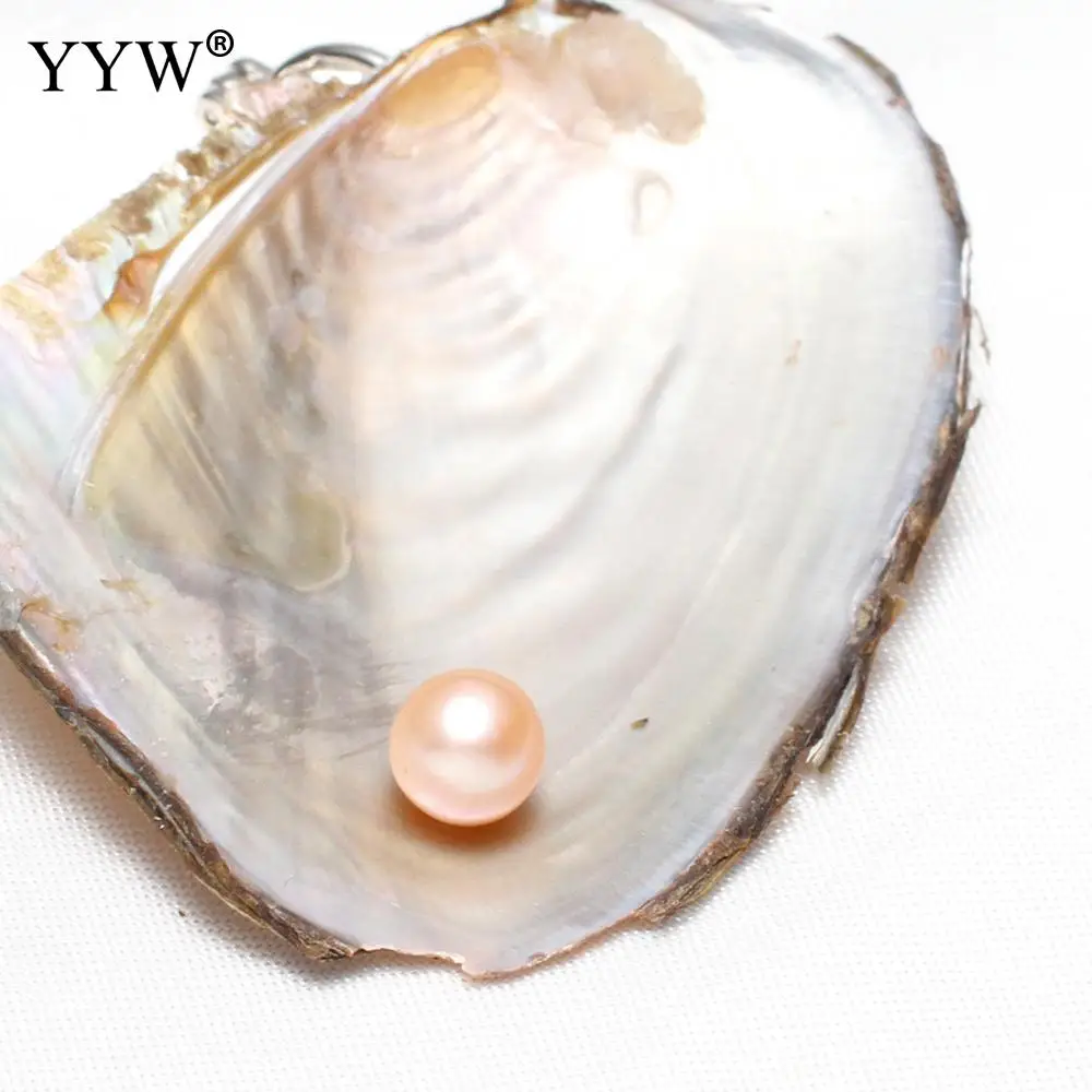 Новинка 5 шт./лот Эдисона жемчуга Oyster Pearl Mussel с 1 ожерельем многоцветные Размер 7-8