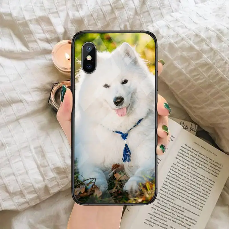 

lovely Samoyed dog Hard Phone Cases Tempered glass For iphone 6 6S 7 8 plus X XS XR 11 12 mini PRO MAX