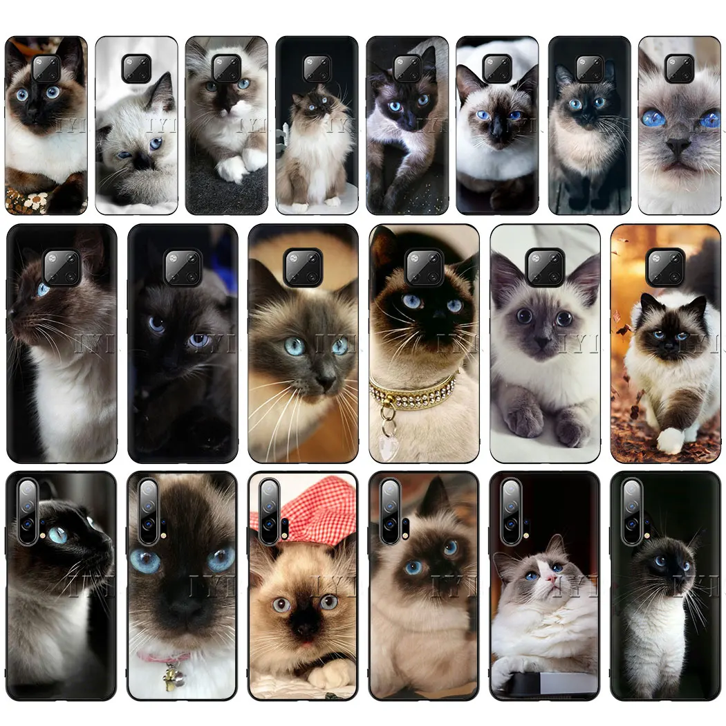 Pet сиамская кошка Мягкий силиконовый чехол для huawei Y6 Y5 2017 Prime 2018 Y7 Y9 2019 10 20 Pro Nova 4 3 2 я