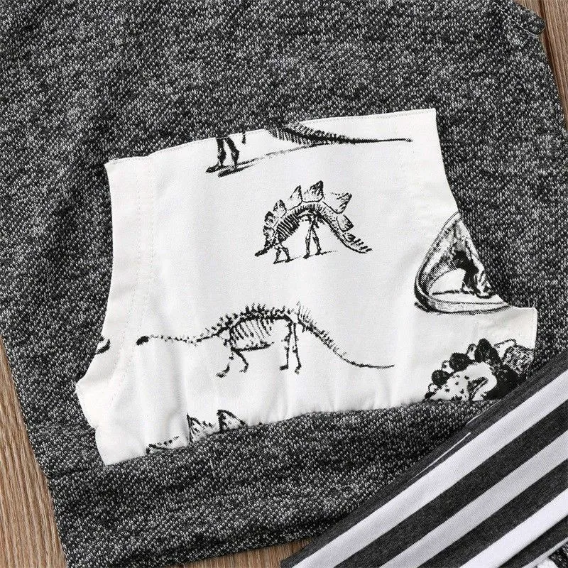 Baby Boy Clothes Set Toddler Kids 2020 Gray Summer Dinosaur Hooded Sleeveless T-shirt Tops Shorts Outfit Cotton Clothing 2pcs |