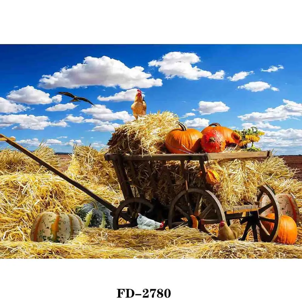 

Vinyl Custom Photography Backdrops Prop festival Photography Background #0049