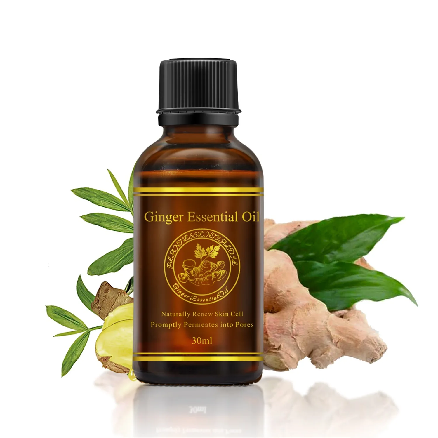 

Ginger Essential Oil Massage Essential Oil Massage Spa ginger essential oil massage oil ginger oil