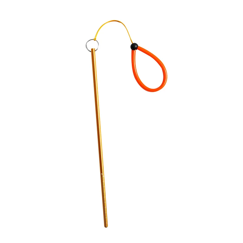 

Diving Pointer Aluminium Alloy Lobster Stick Underwater Scuba Rod with Lanyard SUB Sale