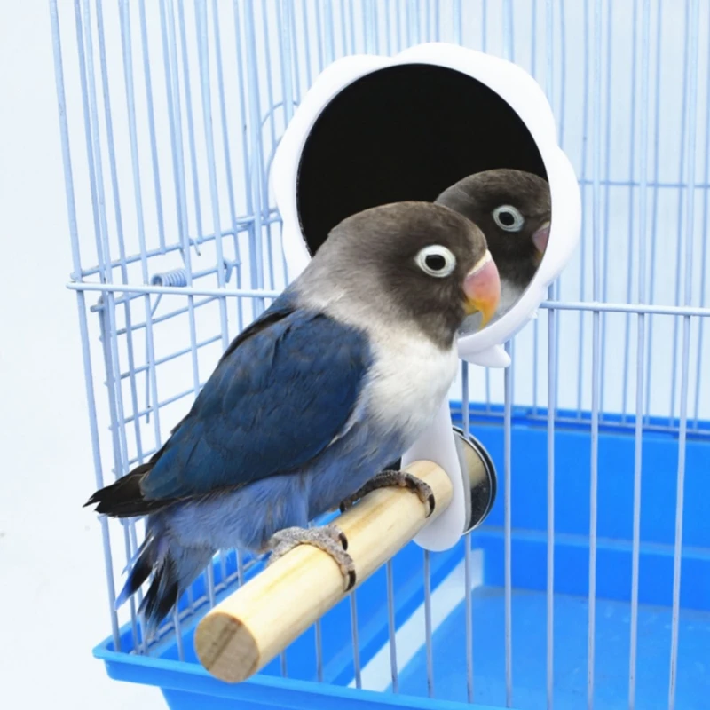 Треугольный куриный Окунь попугай матовая настольная деревянная игрушка для кур