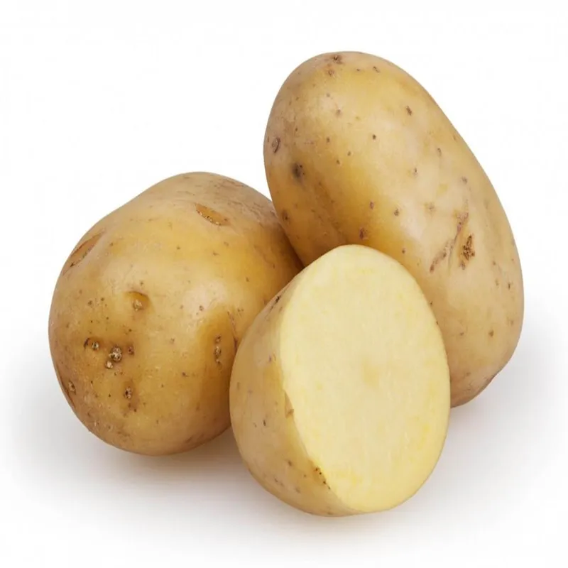 

Natural Potato Extract Protein Powder Free Shipping