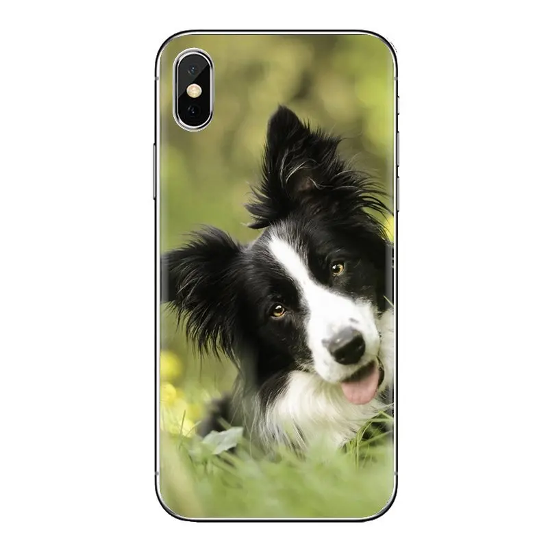 For Xiaomi Mi6 Mi 6 A1 Max Mix 2 5X 6X Redmi Note 5 5A 4X 4A A4 4 3 Plus Pro Border Collie Dog Transparent Soft Shell Covers |