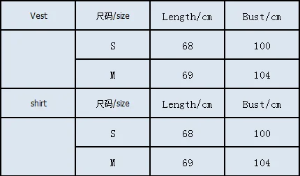 

2020 New Women Blazer Clothing Set 2Pcs Female Summer OL Work Wear Ladies Clothes Vest