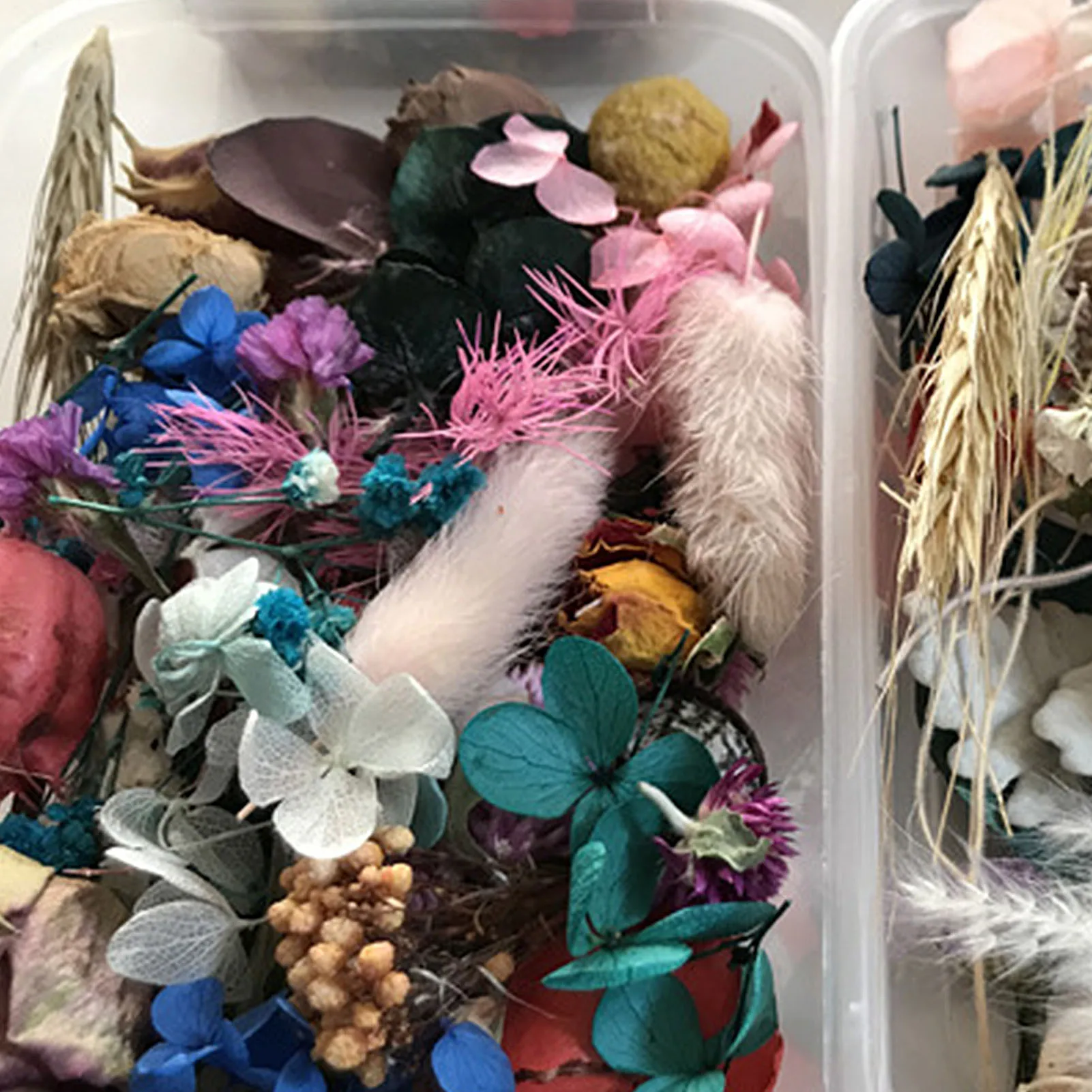 Набор для самостоятельного изготовления сушеных цветов натуральные