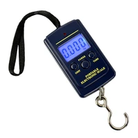 40kg x 10g mini digital scale for fishing luggage travel weighting steelyard hanging electronic hook scale kitchen weight tool
