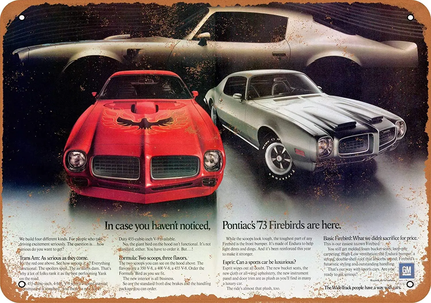 

Металлический винтажный Забавный жестяной знак 1973 Pontiac Firebirds