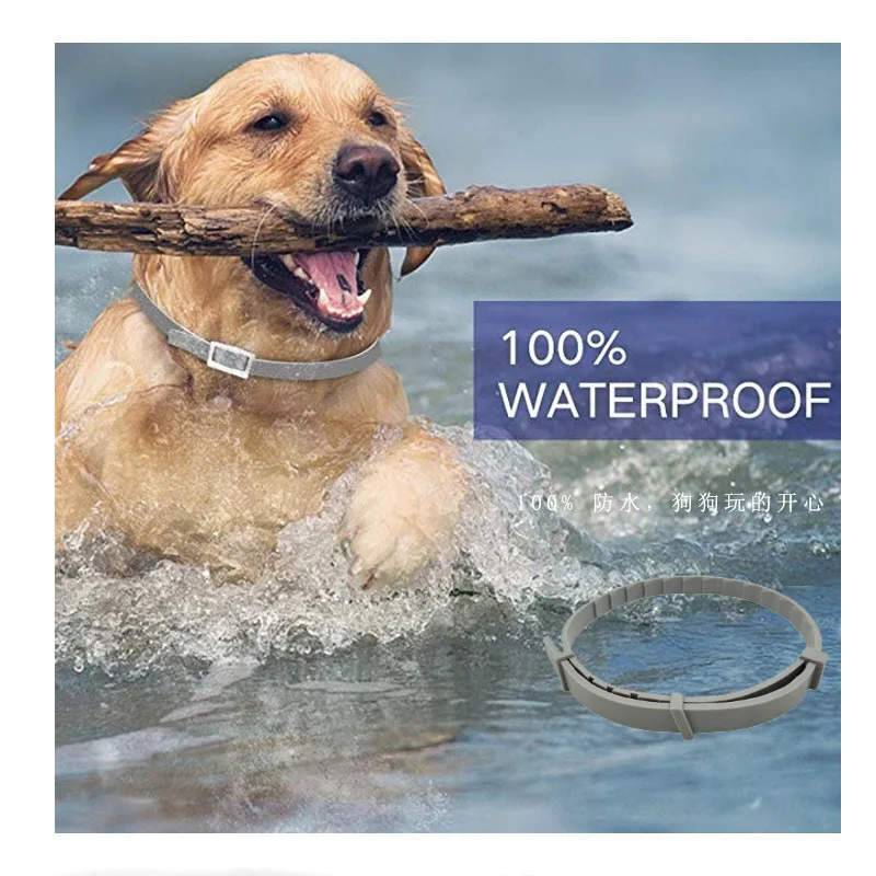 Новая технология Байера ветеринарии Seresto от блох клещей ошейник для маленьких