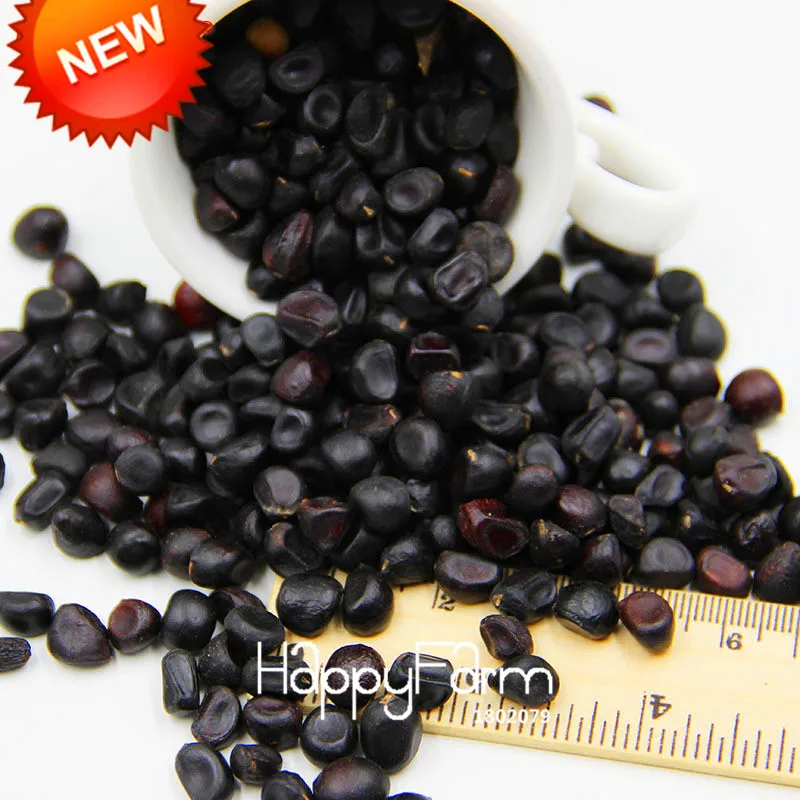 Лидер продаж! белый и фиолетовый двойной Цвет цветок пиона Флорес цветы в горшках бонсай растения для дома и сада 10 шт./упак