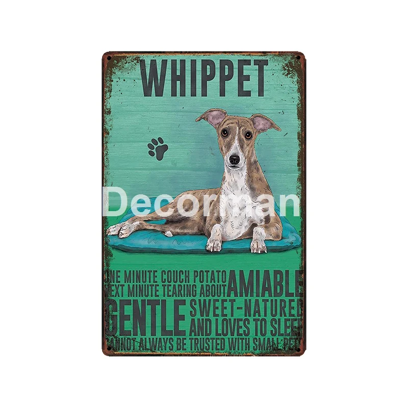 [DecorMan] Пользовательские Собака Кошка металлический знак WHIPPET лабрадоор COCKAPOD настенная живопись Декор LT-1980 - Цвет: GLA-5613