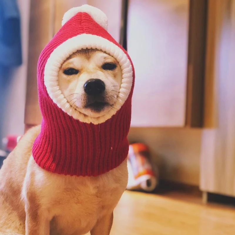Christmas Dog Cap Knitted Pet Hats for Dogs Accessories Winter Warm Cat Dog Hat Puppy Pet Caps for Dogs Hat with Ball Headwear