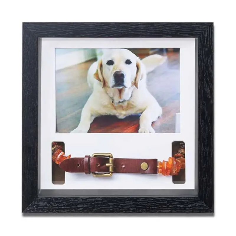 

Pet Memorial Picture Frame Loving Dog Remembrance Sympathy Dog or Cat Tribute Keepsake Loss of Dog Gifts for Pet Collar