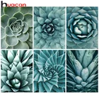 Алмазная живопись Huacan 5d, суккуленты, цветок, Настенный декор, алмазная вышивка, мозаика, Цветочная вышивка крестиком, хобби