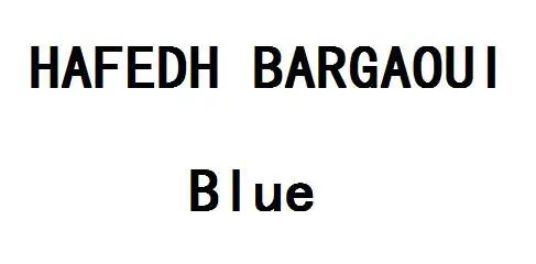 

HAFEDH BARGAOUI Premium / price difference green