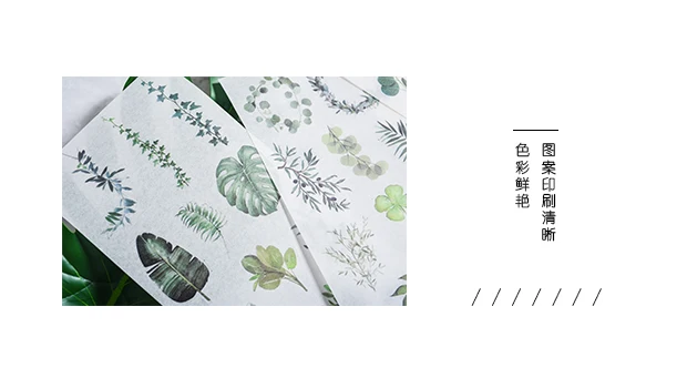3 шт Kawaii Наклейки DIY наклейки Bullet Journal Plant animals милые наклейки туристические наклейки канцелярские наклейки