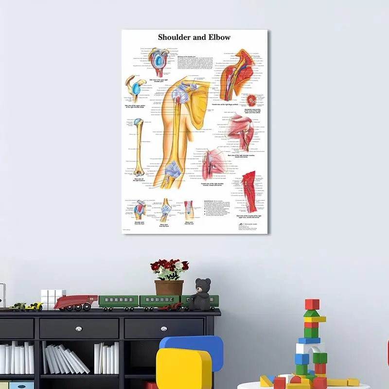 

Canvas Print Wall Art Painting Art Picture Elbow Anatomy Poster for Living Room Home Decor