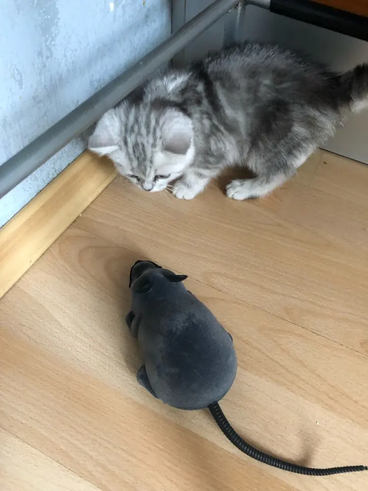 Забавная крысиная мышь с дистанционным управлением беспроводная игрушка для