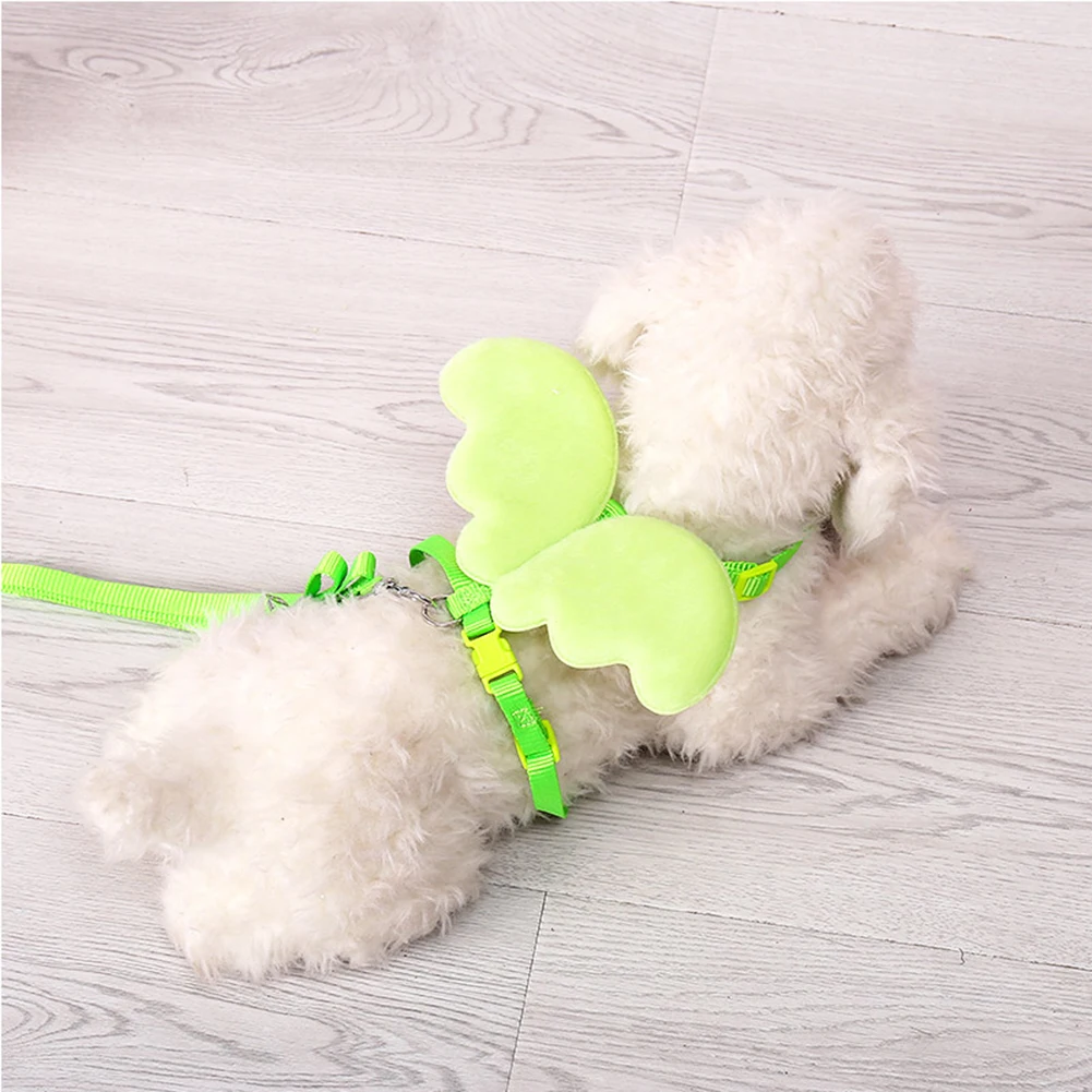 Поводок и поводок для маленьких собак кошек | Дом сад