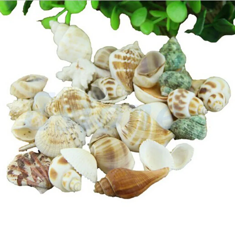 100 г/пакет смесь органических материалов ракушки для морского пляжа ремесла