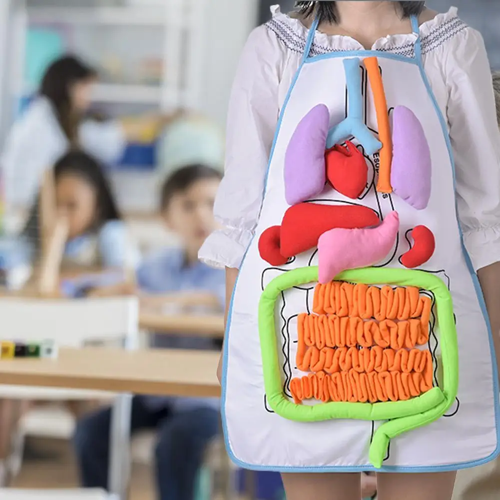 Раннее развитие ребенка игрушки для детей анатомический фартук 3D человеческого