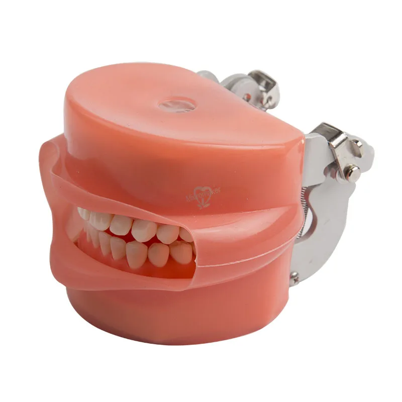 1 набор стоматологических симуляторов модель детской модели с настольным