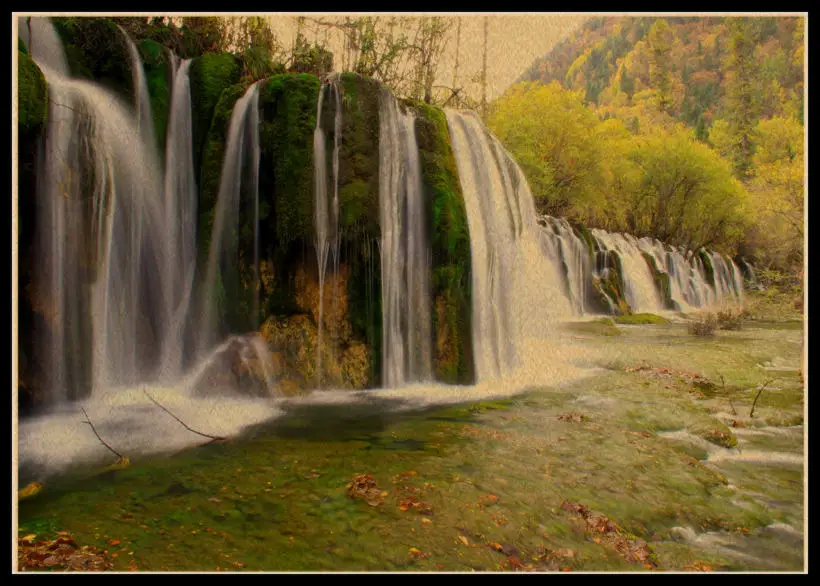 Лесной пасторальный пейзаж плакат национальный парк лес эстетический настенная