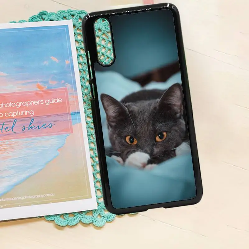 

Webbedepp British Shorthair cat Phone Case PC for iPhone 11 12 pro XS MAX 8 7 6 6S Plus X 5S SE 2020 XR