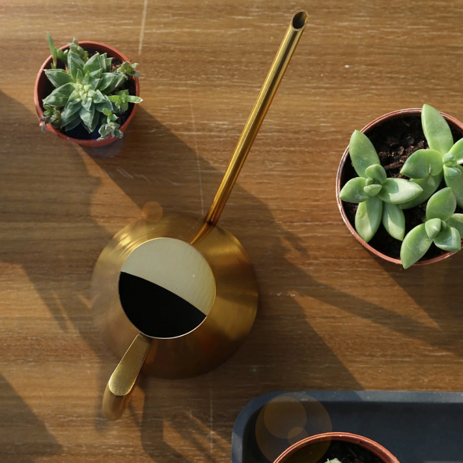 

Modern Style Stainless Steel Small Watering Can Kettle Brushed with Long Spout for Outdoor Indoor Desk Plants Multi-Purpose