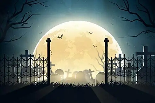 

Halloween Moon Grave Photo Background Studio Photography Backdrops Props Tin Sign 12x16 Inch Home Kitchen Bedroom Bar Sign