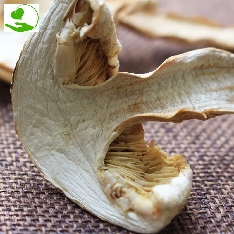 

Dried Matsutake Slices Mushroom Premium Grade Song Rong Dry Food
