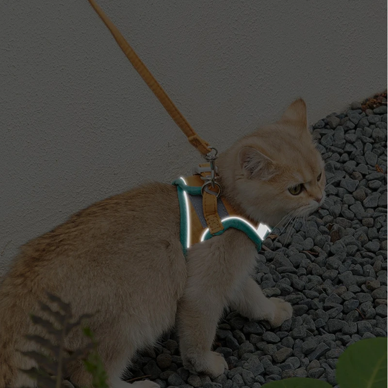 

Cat Leash Chest Back Break Free Going Out Dog Leash Vest Cat and Dog Leash Puppy Harness Pet Collar