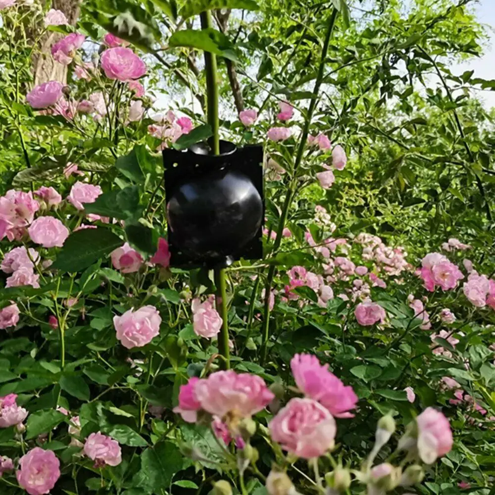 1 шт. прибор для выращивания корней растений |