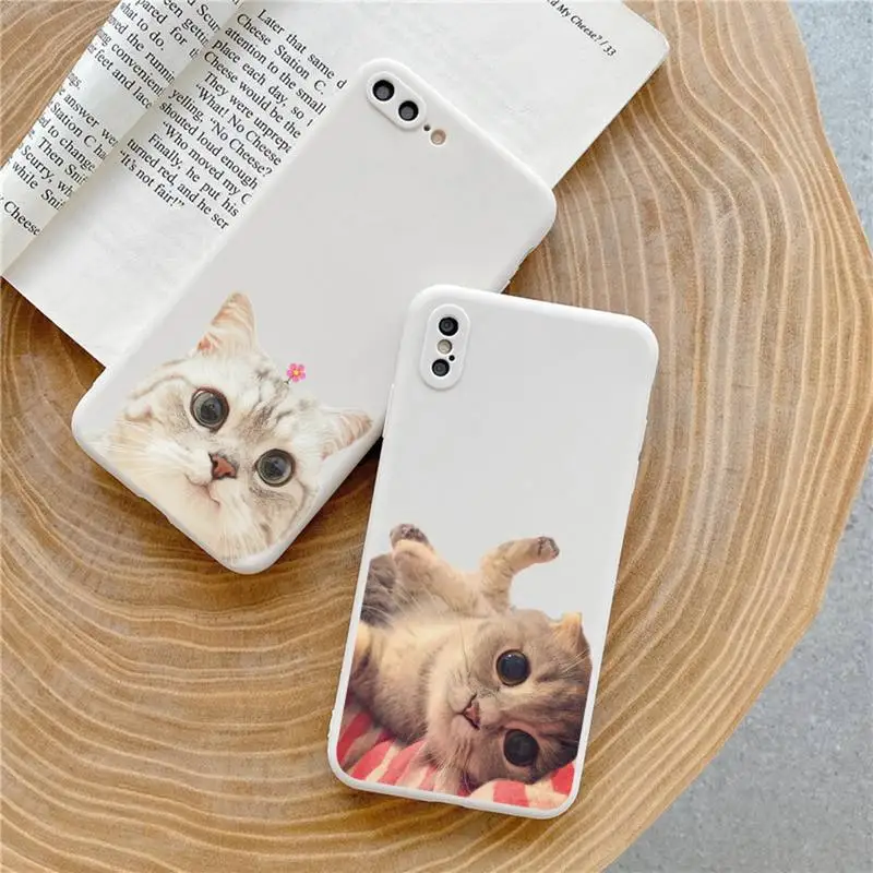 

Cat funny cute animal Phone Case Candy Color for iPhone 6 7 8 11 12 s mini pro X XS XR MAX Plus