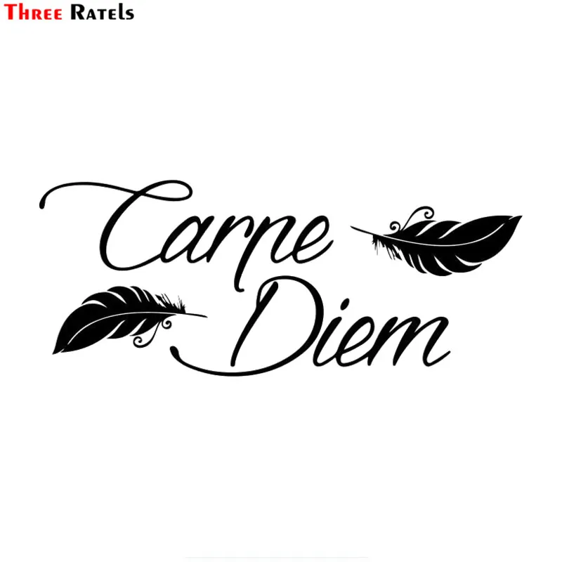 Три Ratels FTZ 103 # Carpe Diem Sticker s виниловая стильная художественная наклейка креативная