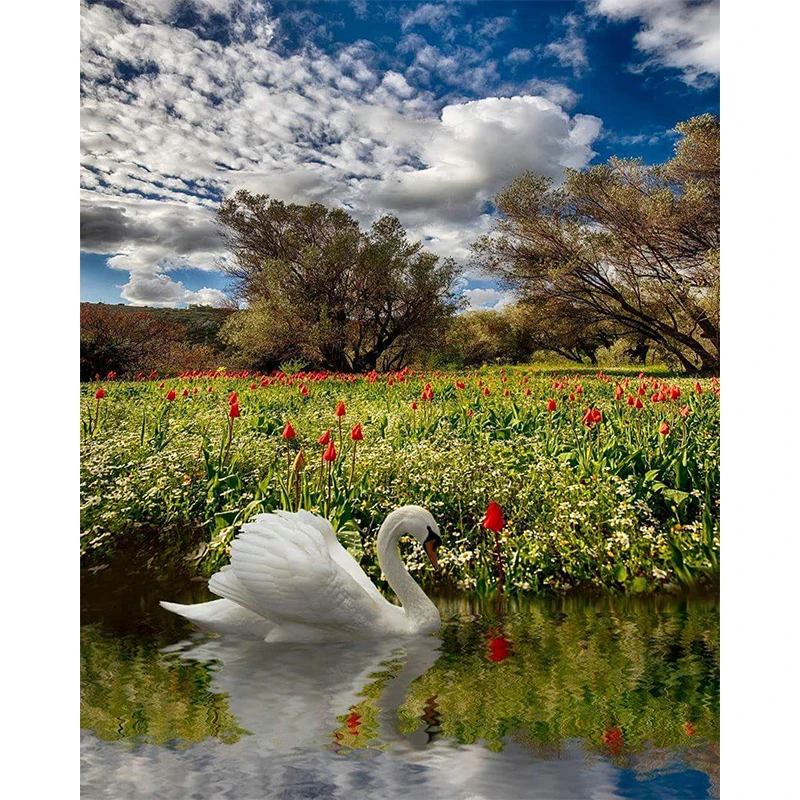 5d алмазная картина полностью квадратное животное Алмазная вышивка Лебедь узор diy