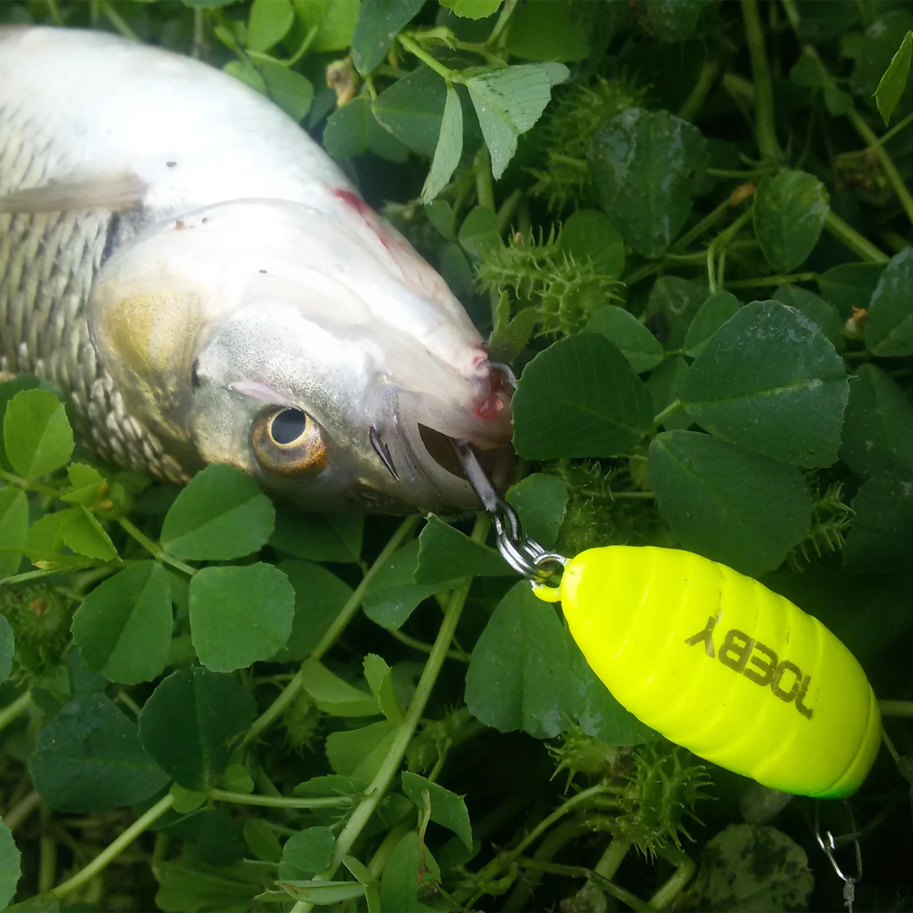 

Noeby new 10pcs 2.8cm 2g Mini Sinking fishing lure baits Hard fishing bait Fishing Hook Small minnow Lures