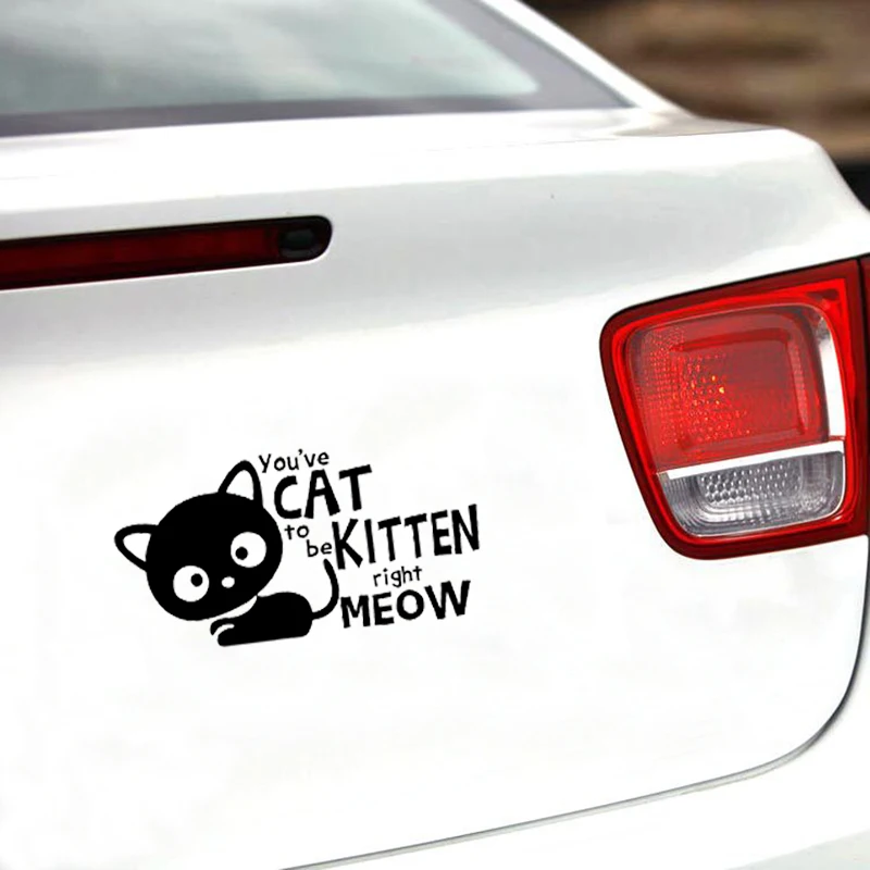 

16*8,2 You'm Cat to be Kitten Right JDM