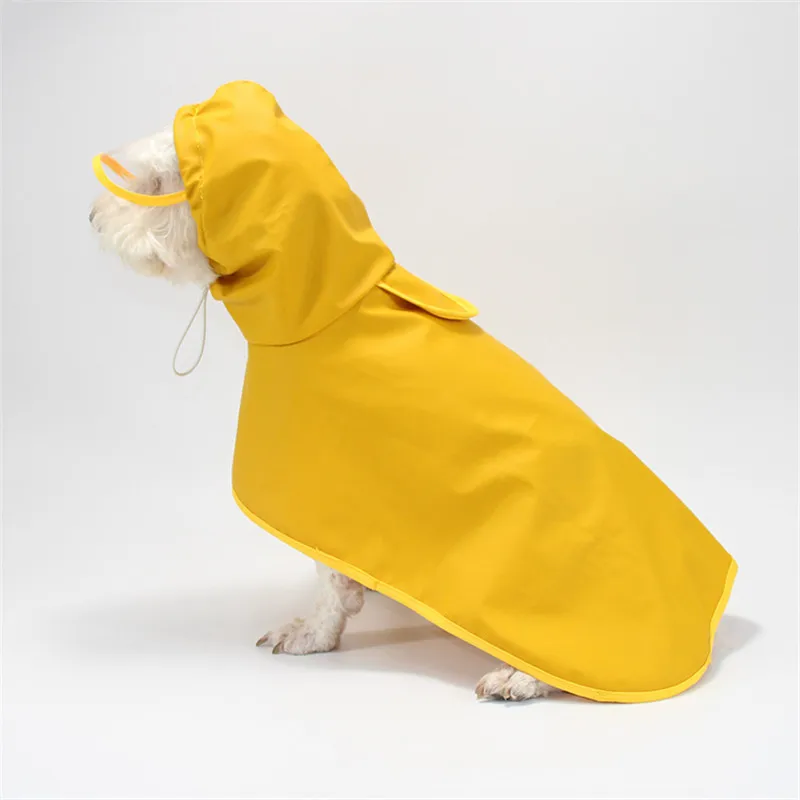 para cachorro pequeno, com capuz, capa transparente para proteção da barriga