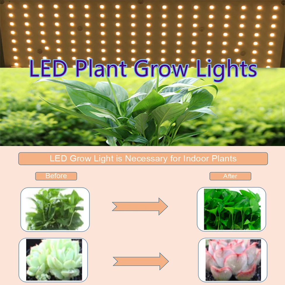 Hydroponics 120W 240W Led Grow Light Full Spectrum Samsung Board LM301B SK 3000K 3500K 4000K 660nm Dimmable HLG A/B Greenhouse