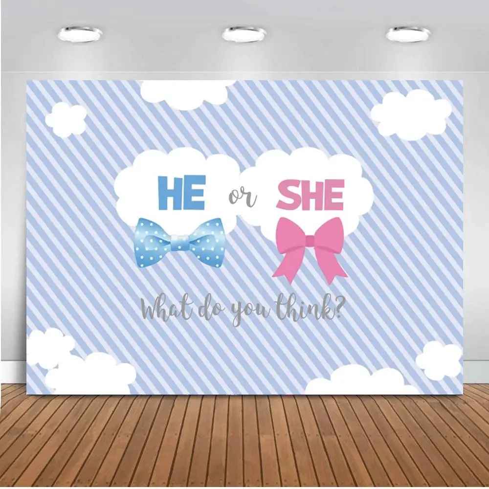 

Blue White Cloud Bow He Or She Party Background For Decor Photo Girl or Boy Gender Reveal Family Dinner Backdrop For Home