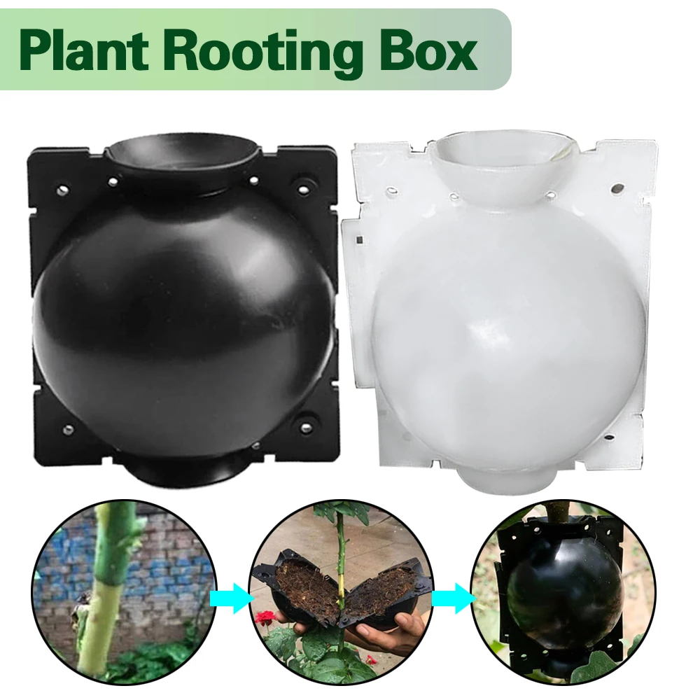 Коробка для выращивания растений мяч прививки чехол разведения корней садовый