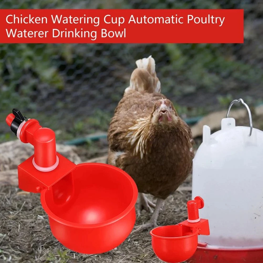 

12pcs Chicken Quail Hanging Water Cups Feed Automatic Bird Coop Poultry Chicken Fowl Drinker Birds Drinking Bowl Farm Supply