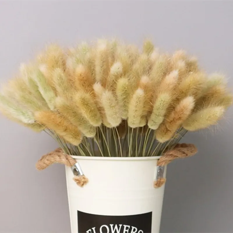 

Droogbloemen Lovely 50Pcs Natural Dried Flowers Rabbit Tail Grass Bunch Colorful Real Flower Bouquet Decoration For Home Wedding