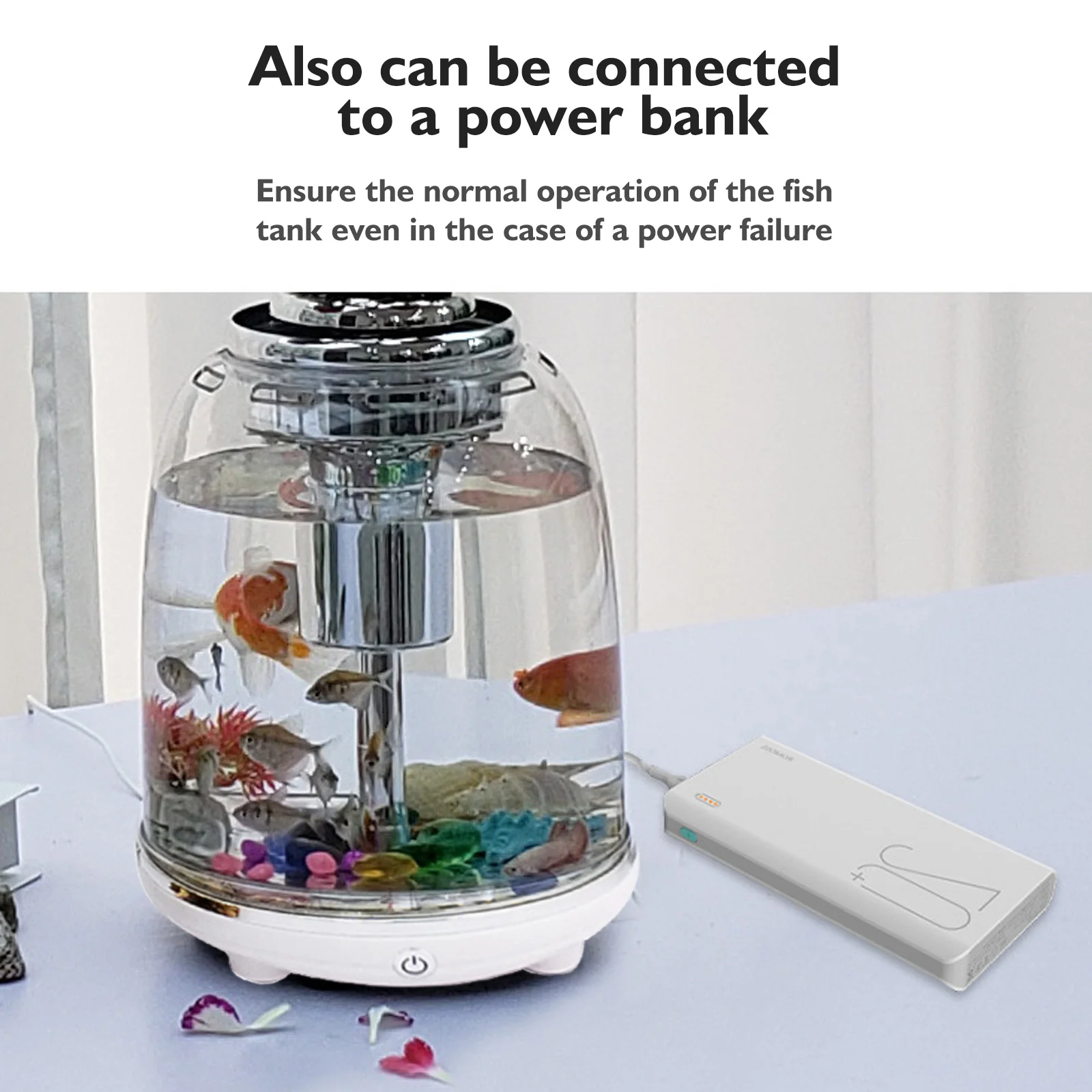 

Aquarium Fish Tank 5.5L with Power Filter Colorful LED Lighting for Home Office Desk Decor
