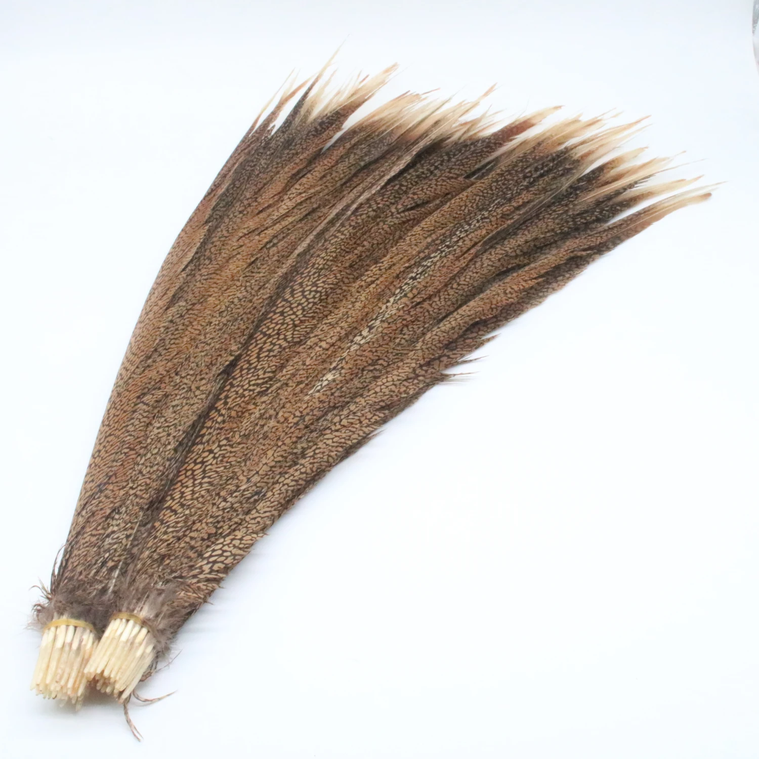 Wholesale 24-28inch/60-70cm Natural Pheasant Tail Feathers For Craft Celebration Decoration Lady Amherst Pheasant Feathers