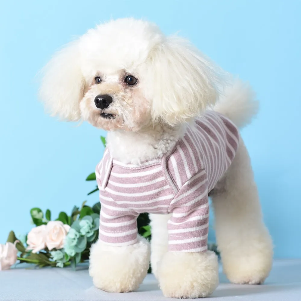 

Autumn and winter new dog clothes striped bottoming shirt small and medium-sized dog cat two-legged pet sweater breathable